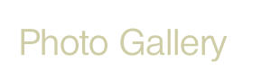 Photo Gallery